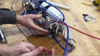 animated gif